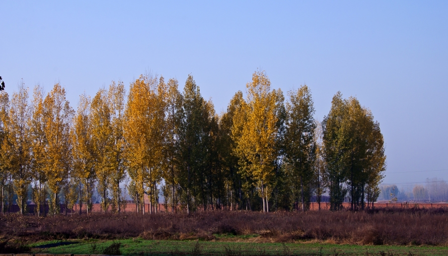 DSC_0474.jpg