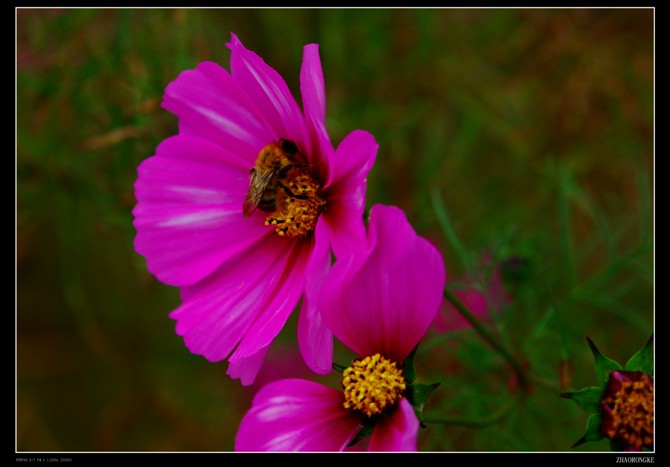 HMCAC1R6VNCA6M96TUCAZ6EJ00CAEGMEZECABD13VLCAH4AGJACABB704ZCAZ8PEIBCAJUX9YWCA3G52.jpg