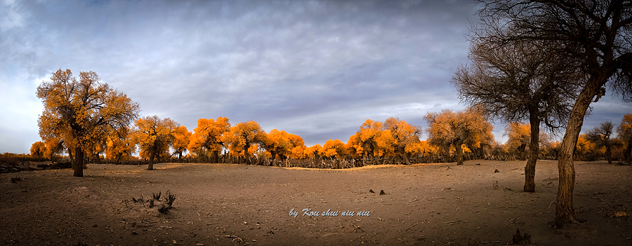 DSC01306-900（全景）.jpg