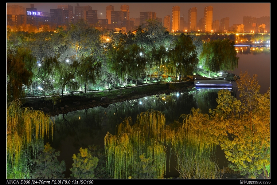 DSC_6375.jpg