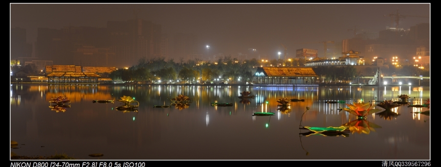 DSC_6395.jpg