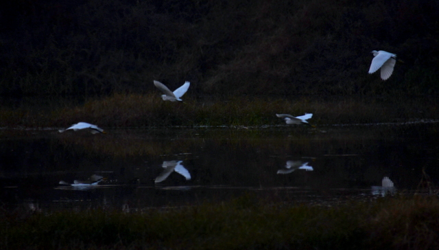 DSC_1377.jpg