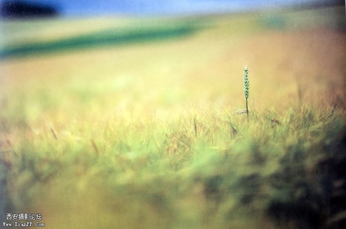 HF7A0021.jpg