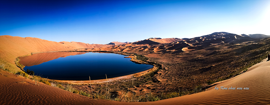 DSC01679-900（全景）.jpg