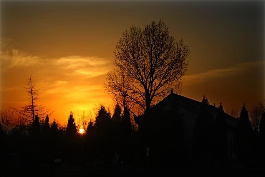 夕阳 (2).jpg