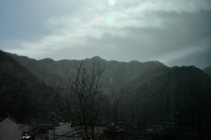 DSC_8407.jpg