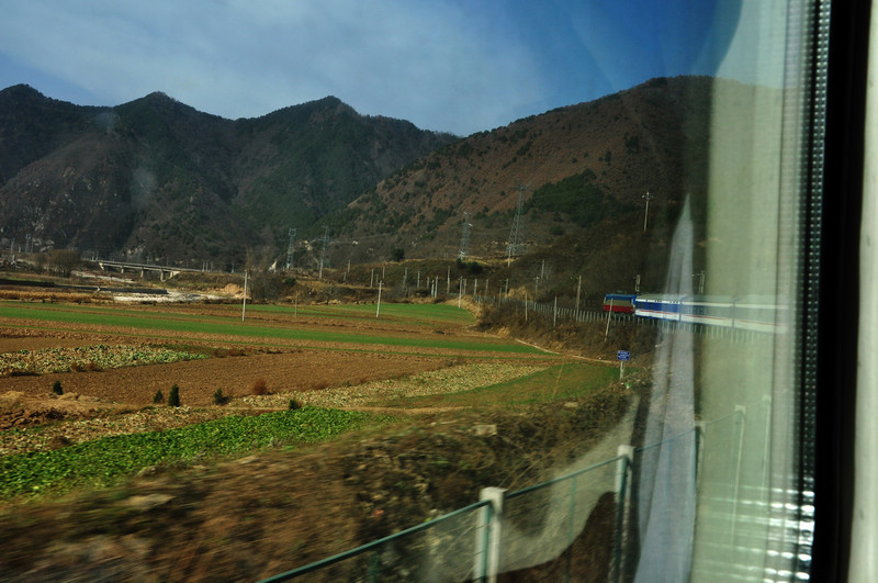 DSC_8411.jpg