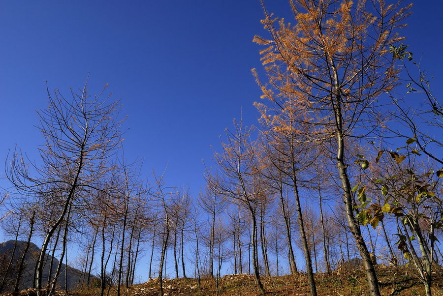 _DSC0086.jpg