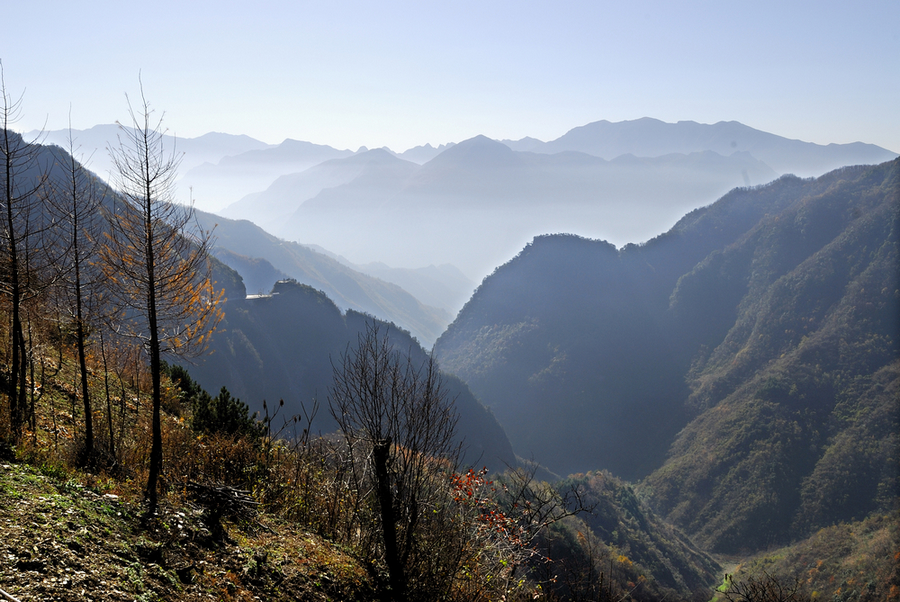 _DSC0090.jpg
