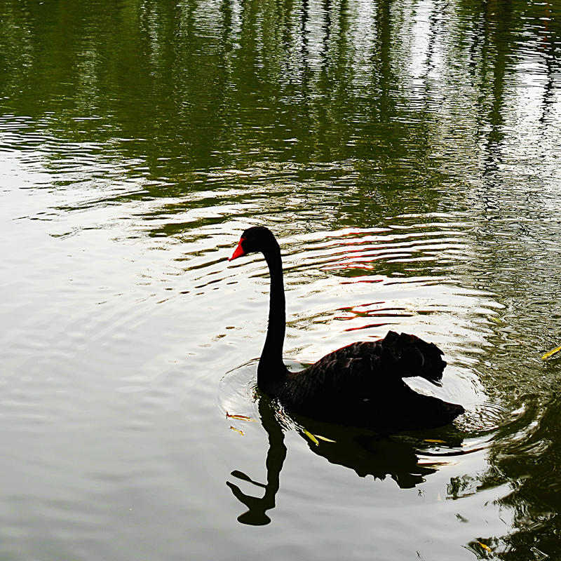 L1024343.jpg