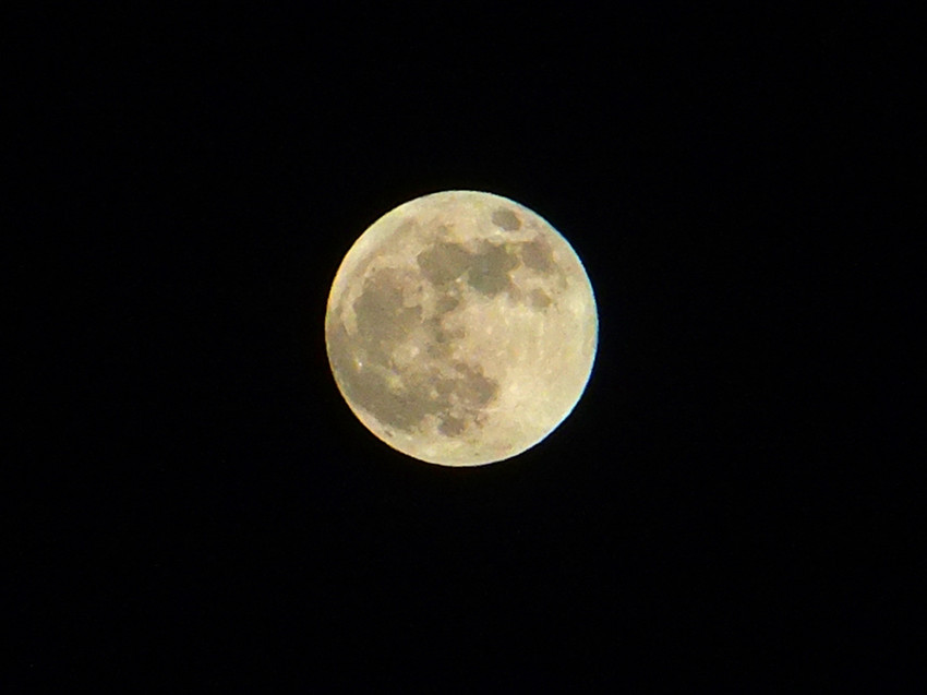 DSCF0908_副本.jpg