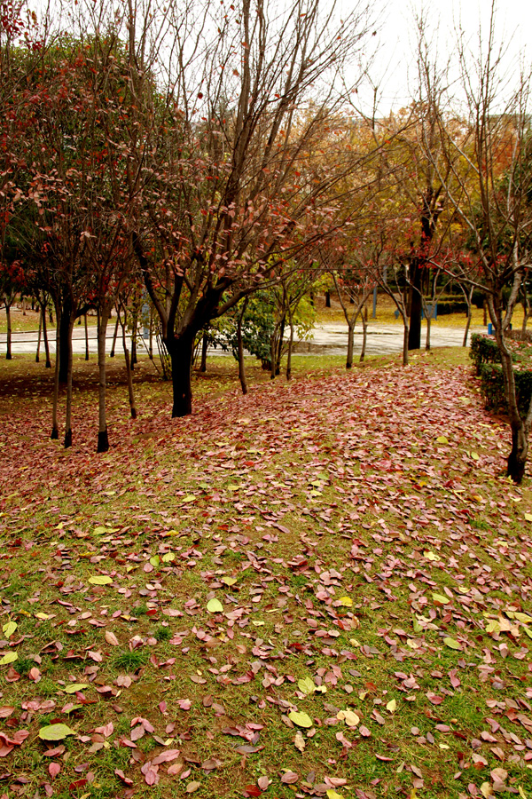 2012.11.25 070.JPG