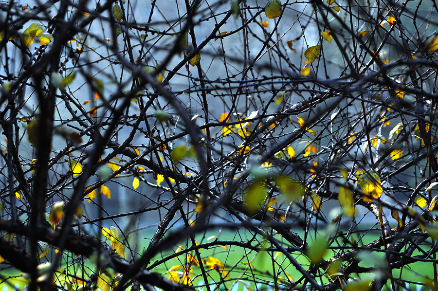 DSC_0014.JPG