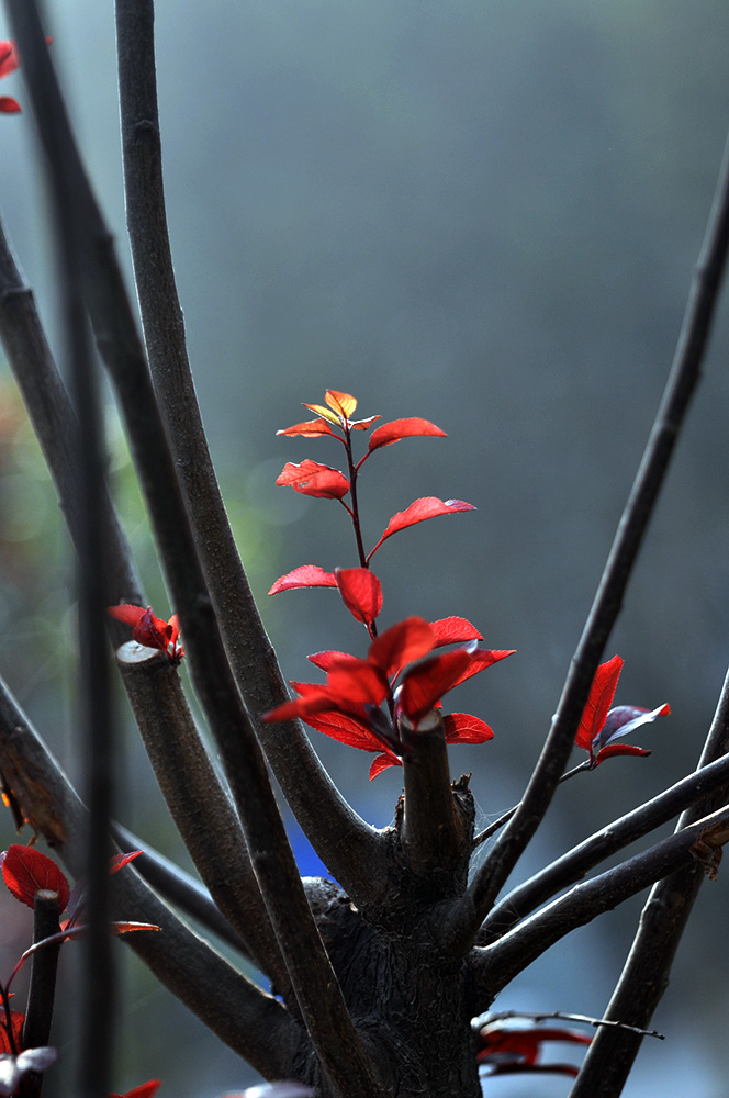DSC_0019.JPG