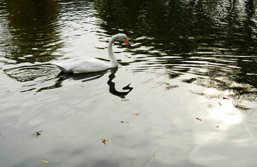 L1024267.jpg