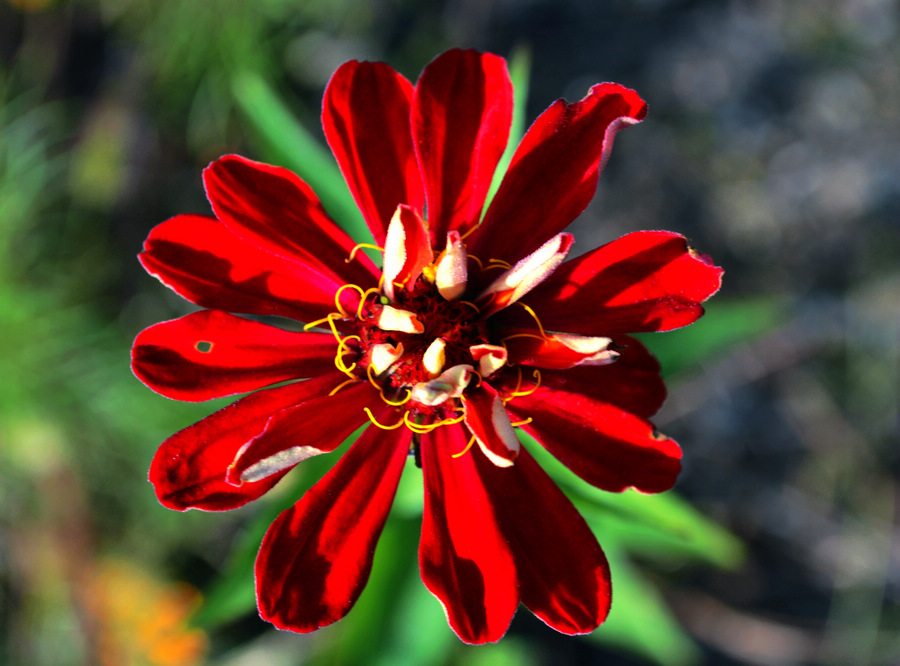 DSC_07181.JPG