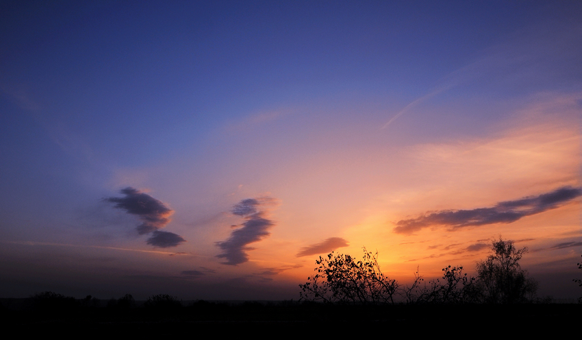 晚霞夕照.jpg