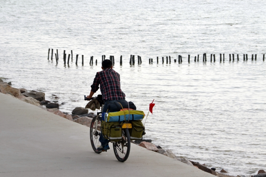 深圳湾1.JPG
