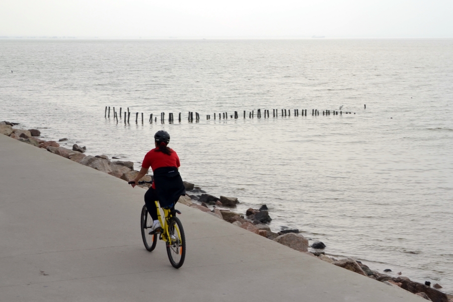 深圳湾2.JPG