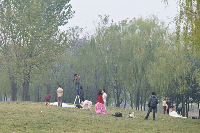 _DSC0698_副本.jpg