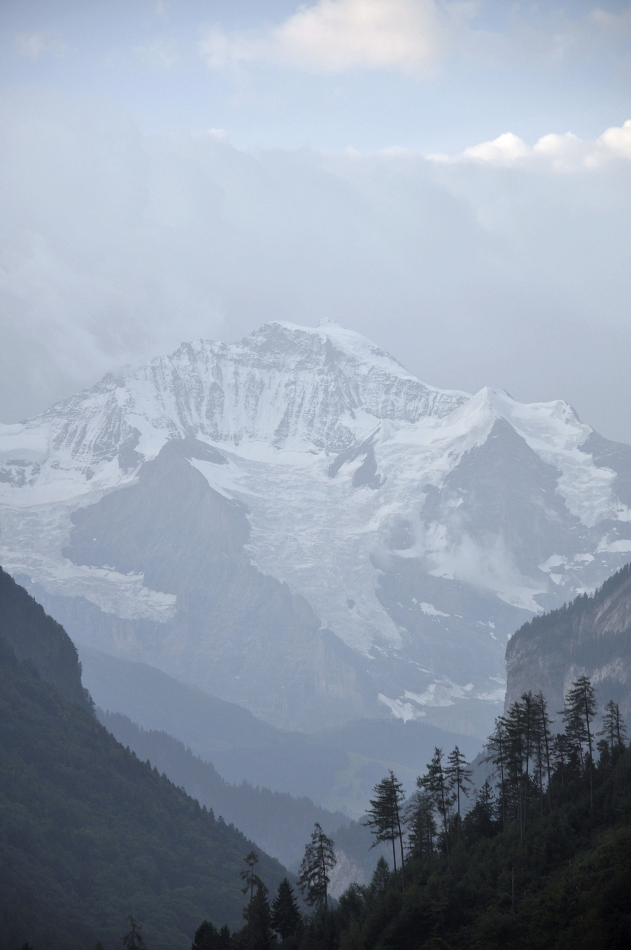 DSC_0654.jpg