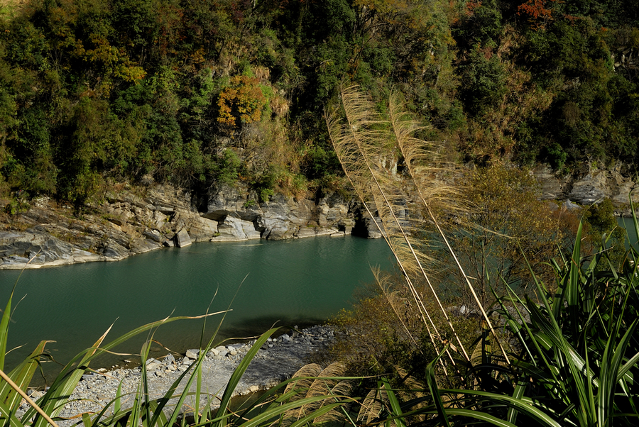 _DSC0112.jpg
