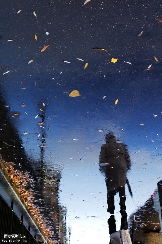 090757rz17n8zsffsfi3rn.jpg