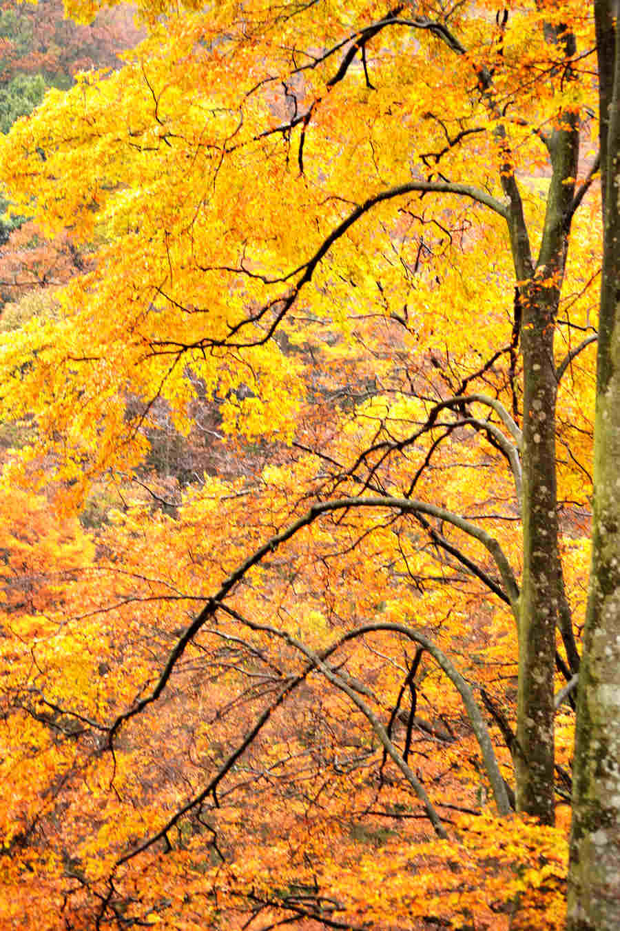 DSC_0244.JPG