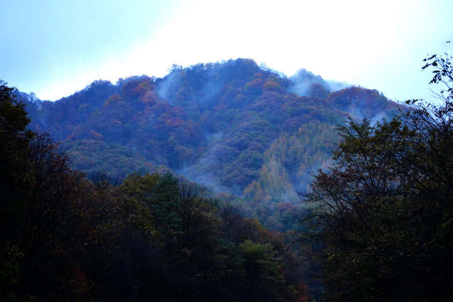 DSC_0366.JPG