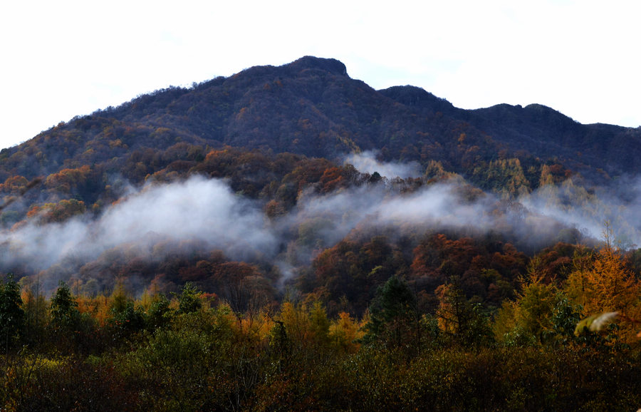 DSC_0538.JPG