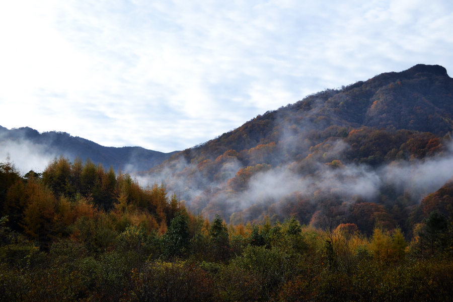 DSC_0545.JPG