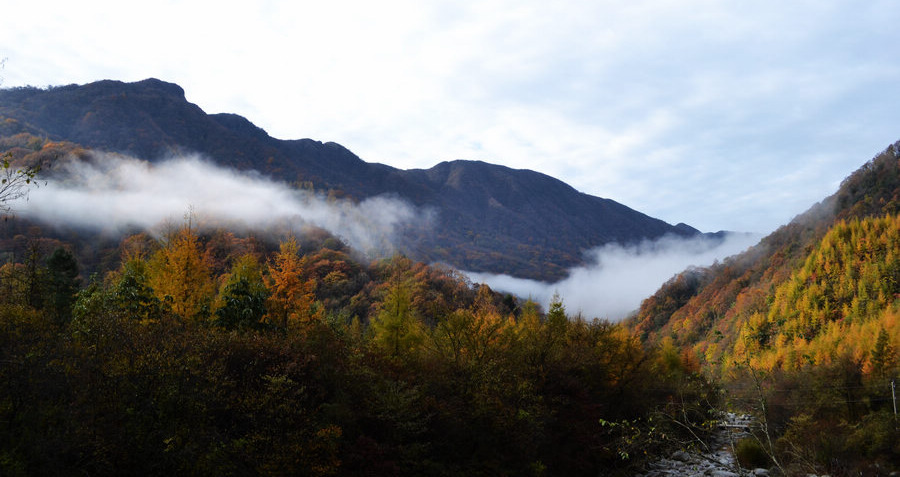 DSC_0547.JPG