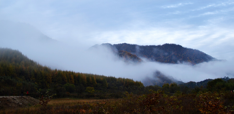 DSC_0554.JPG