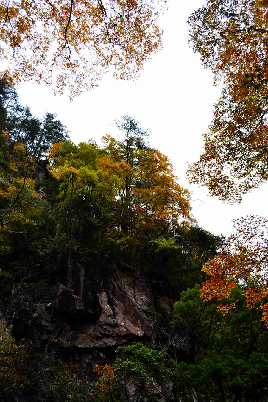 DSC_0566.JPG