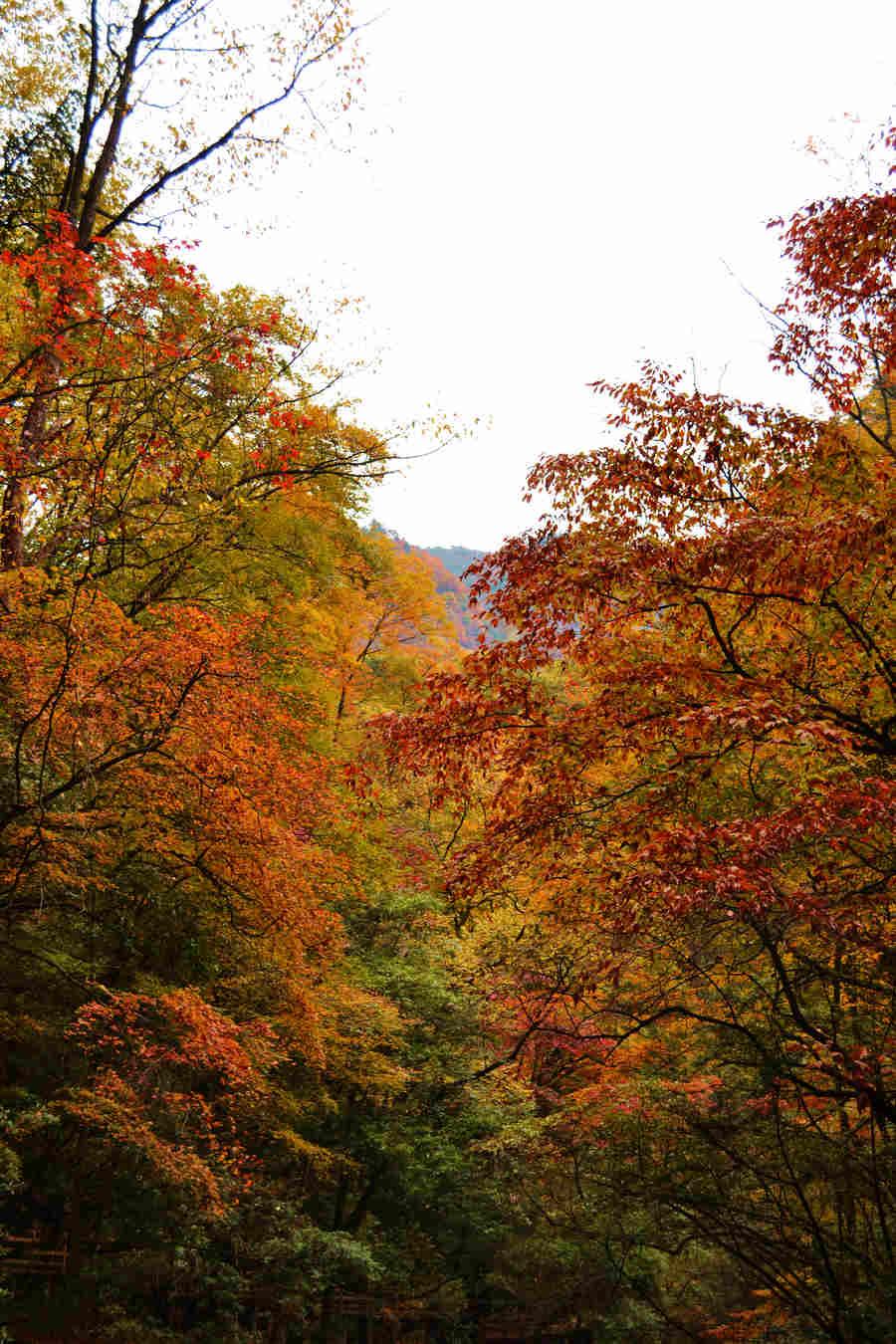 DSC_0578.JPG