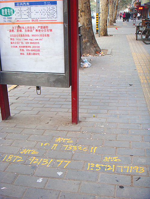 DSC00310_副本.jpg