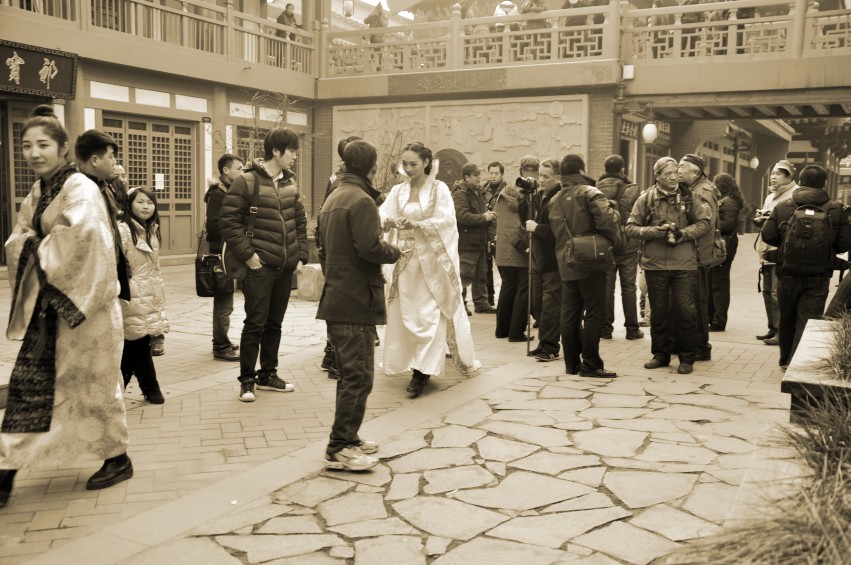 DSC_0828_conew1.jpg