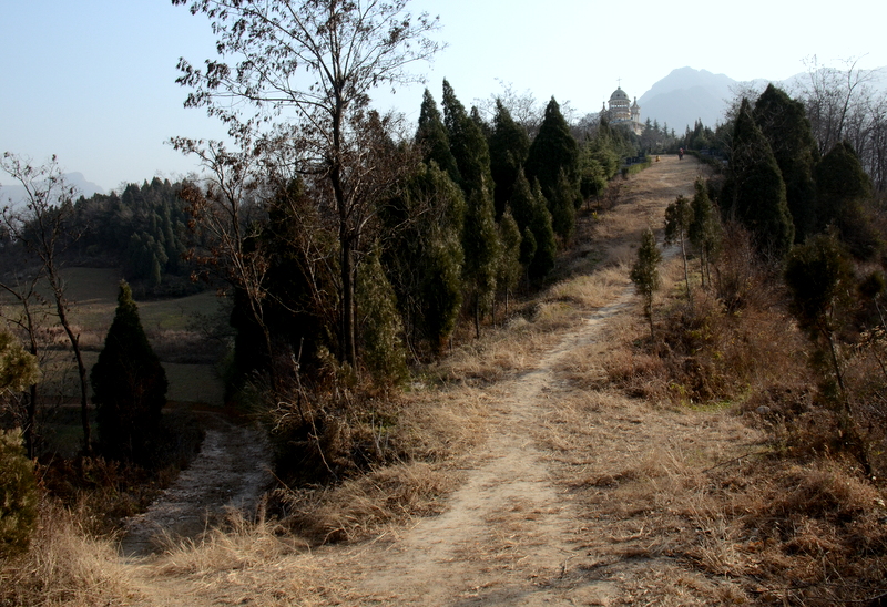 DSC_1665.jpg