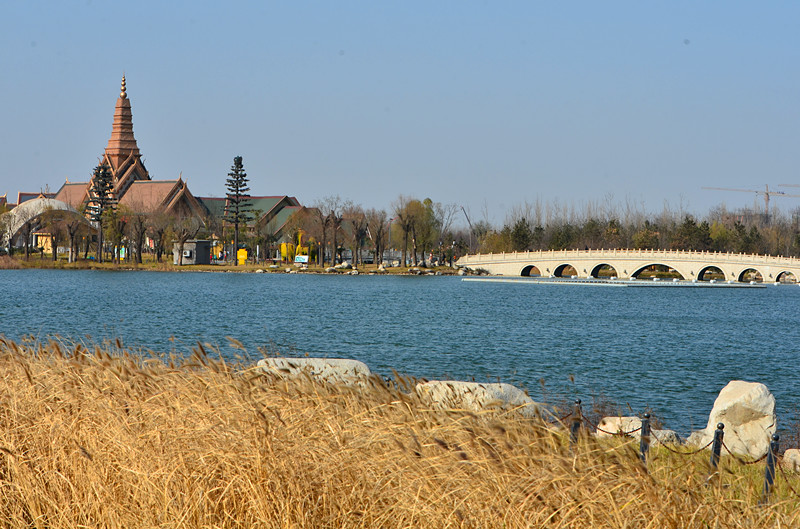 DSC_6746_副本.jpg