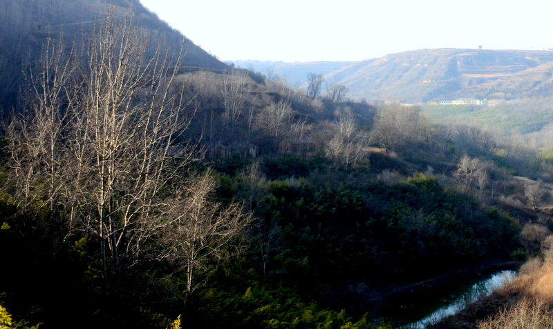 DSC_1551.jpg