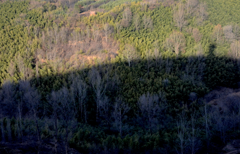 DSC_1568.jpg