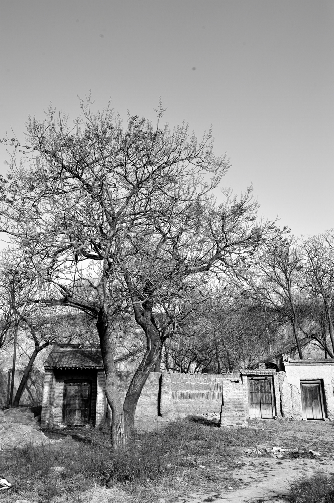 DSC_6626.jpg