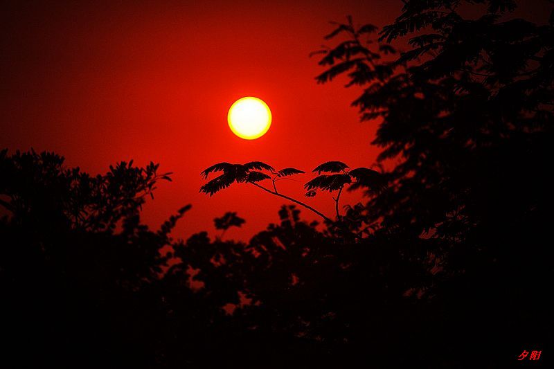 0SC_2712.jpg