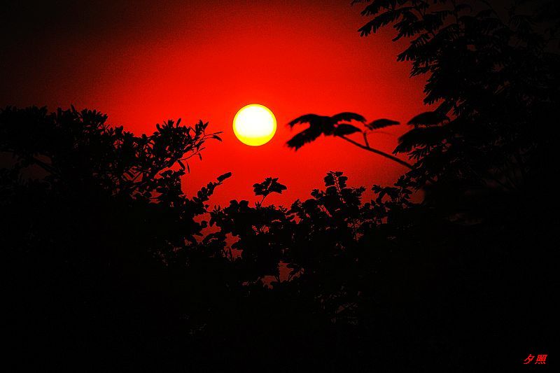 0SC_2722.jpg