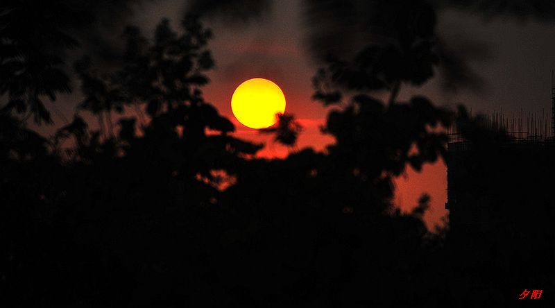 0SC_2817.jpg