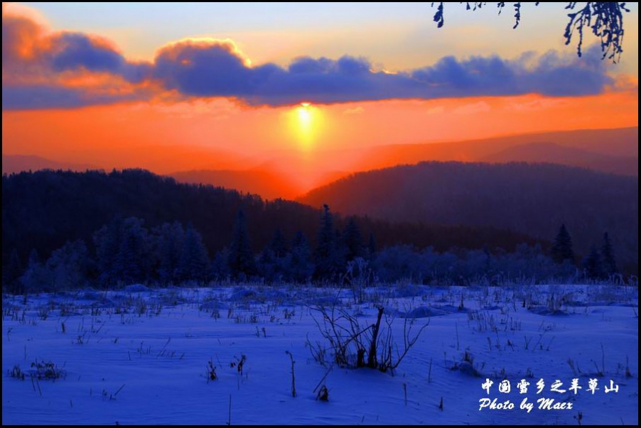 照片 113.jpg
