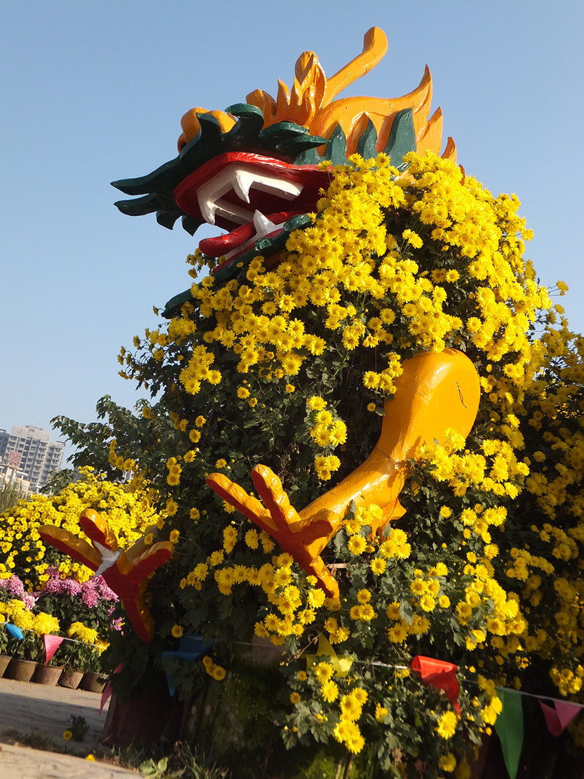 DSCF7950_副本.jpg