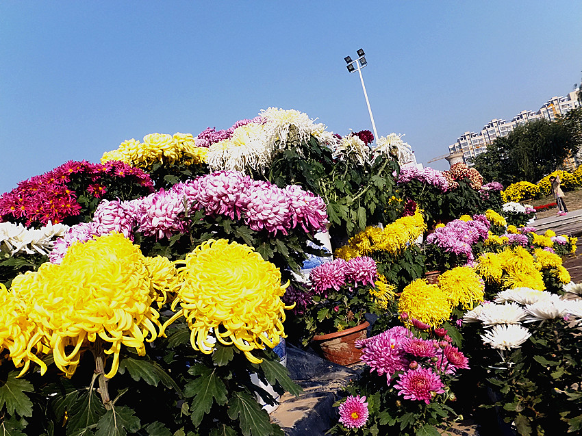 dscf8138_副本.jpg