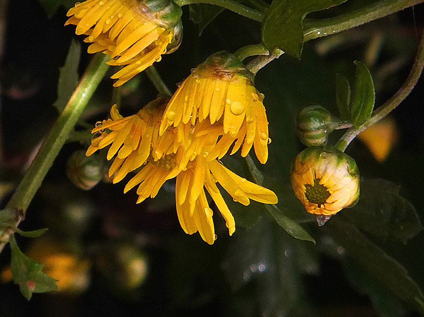 dscf8416_副本.jpg