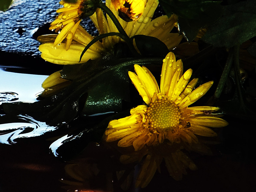 dscf8418_副本.jpg
